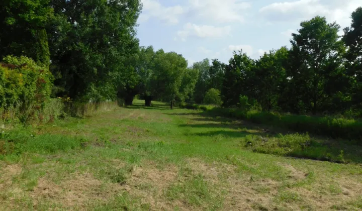 Działka budowlana Szymanów