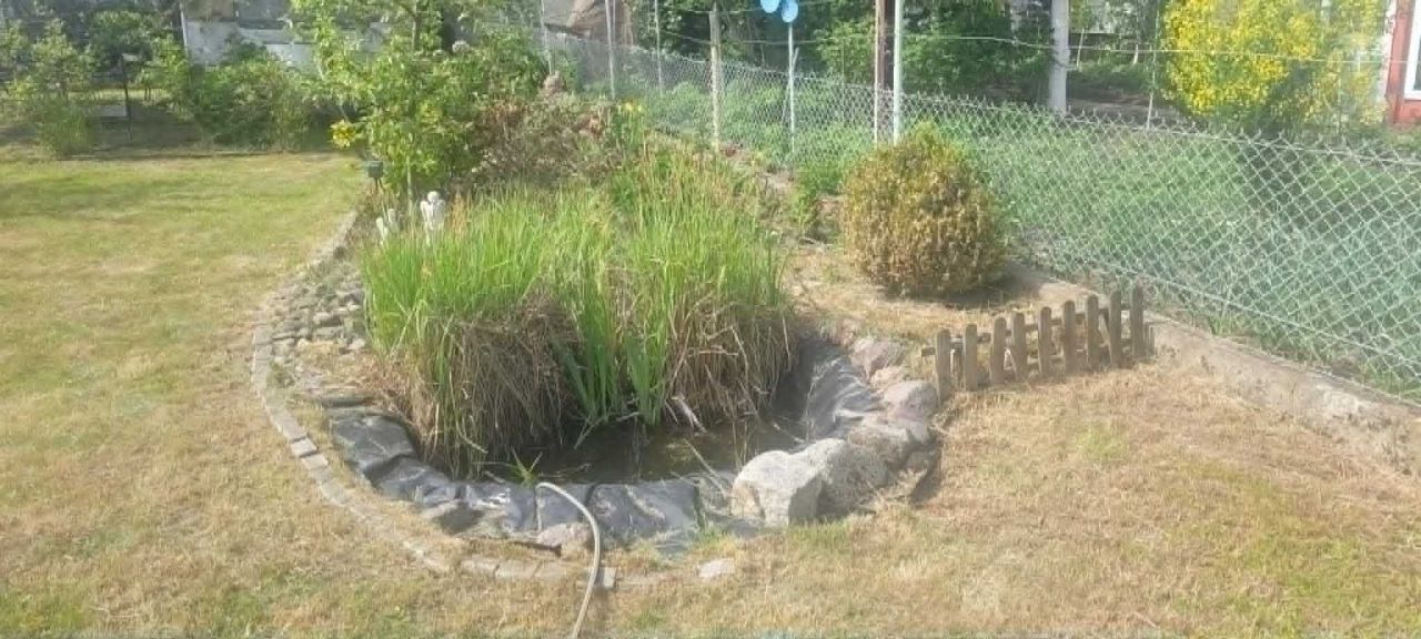 Działka rod Pełczyce. Zdjęcie 8