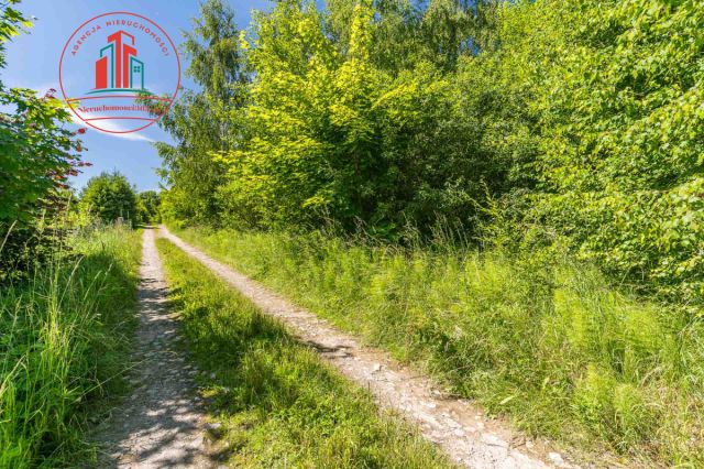 Działka budowlana Czapielsk, ul. Słonecznikowa. Zdjęcie 3