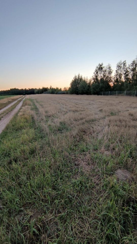 Działka leśna Kalenice