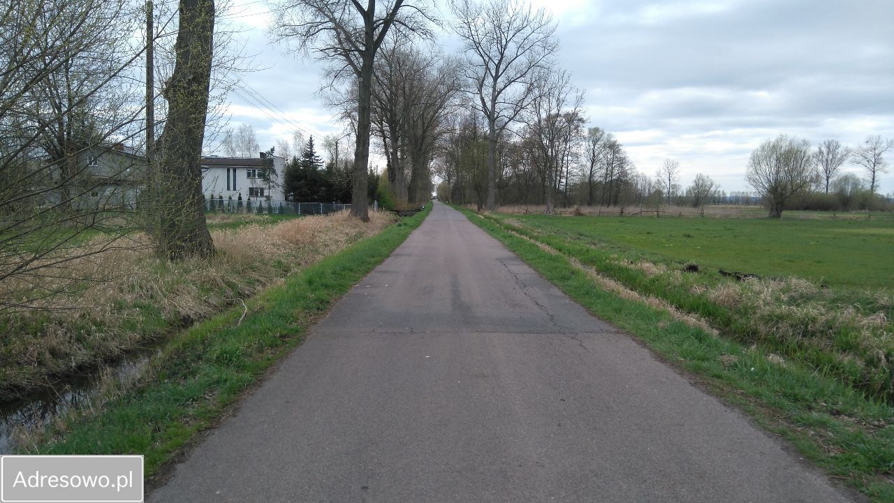 Działka rolno-budowlana Płonica. Zdjęcie 3