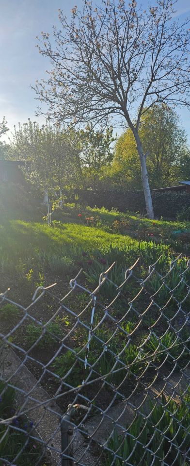 Działka rod Szczecin Gocław, ul. Południowa. Zdjęcie 5