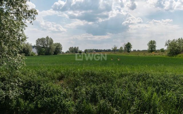 Działka inwestycyjna Elbląg Zawodzie, ul. Nizinna. Zdjęcie 15