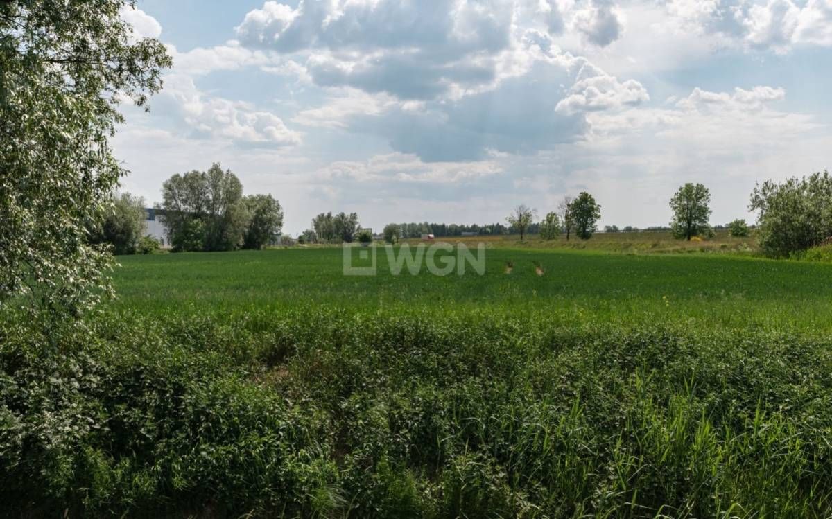 Działka inwestycyjna Elbląg Zawodzie, ul. Nizinna. Zdjęcie 15