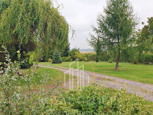 Działka Bystrzejowice Pierwsze. Zdjęcie 3