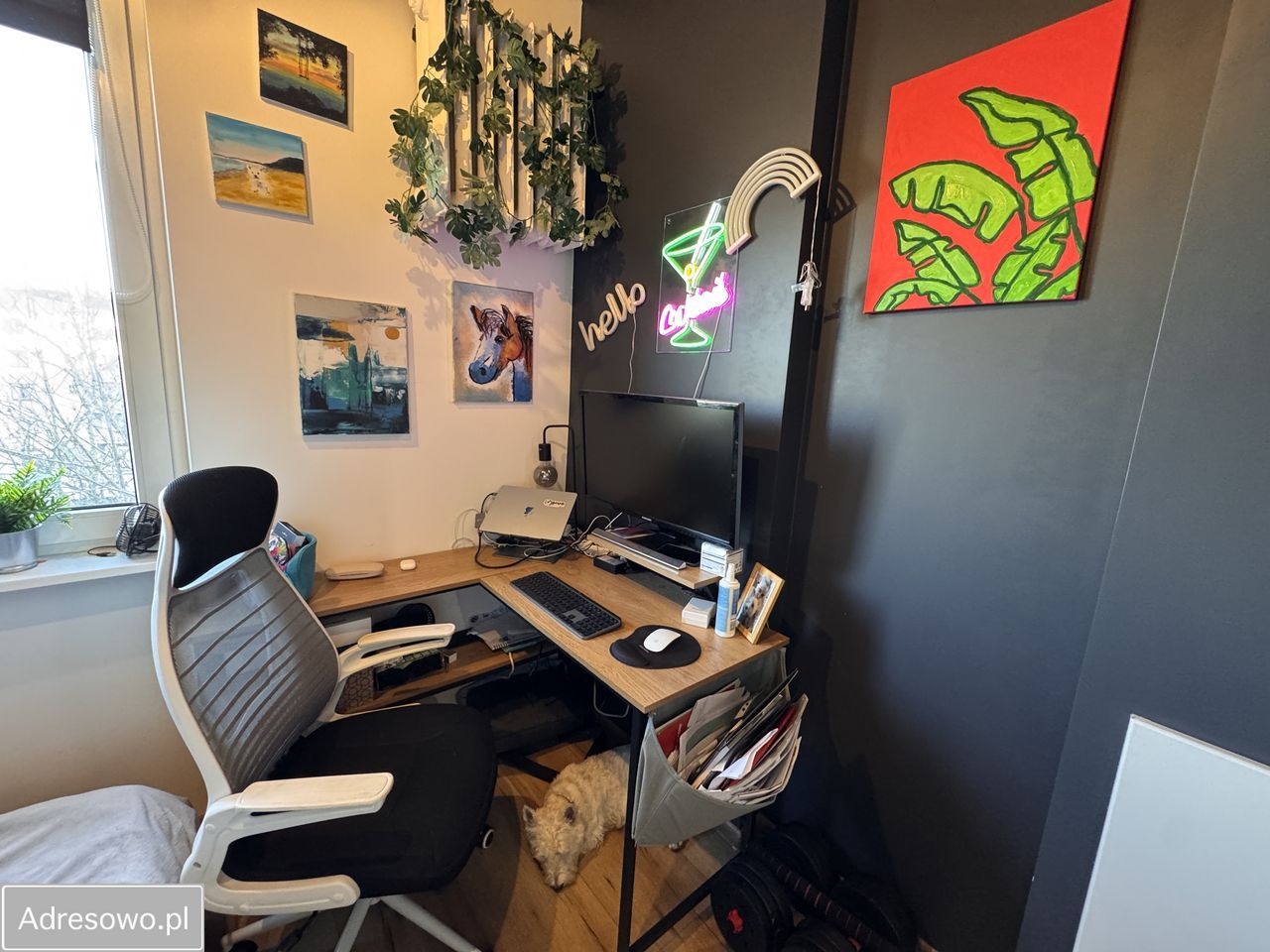 Mieszkanie 2-pokojowe Gdynia Śródmieście, ul. Antoniego Abrahama. Zdjęcie 10