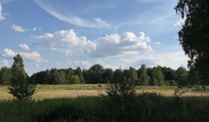 Działka inwestycyjna Wyszków Rybienko Leśne