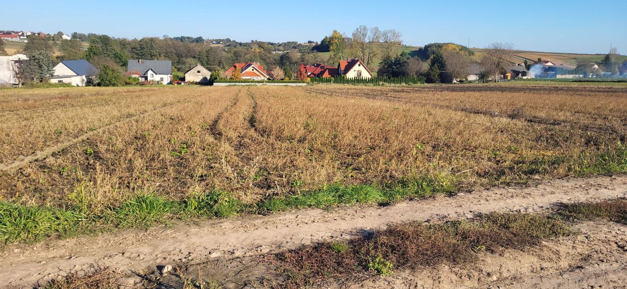 Działka budowlana Głęboka