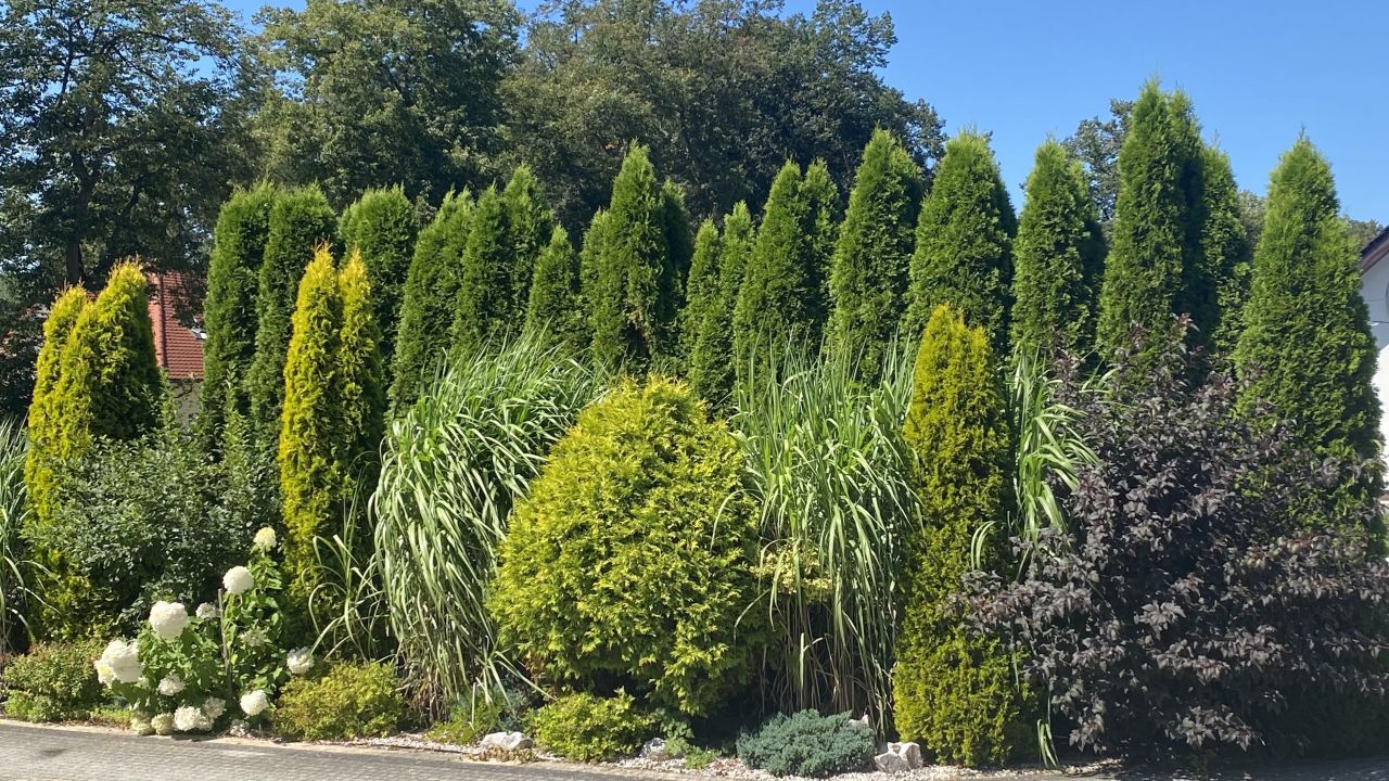 dom wolnostojący, 6 pokoi Chocianów, ul. Szprotawska. Zdjęcie 42