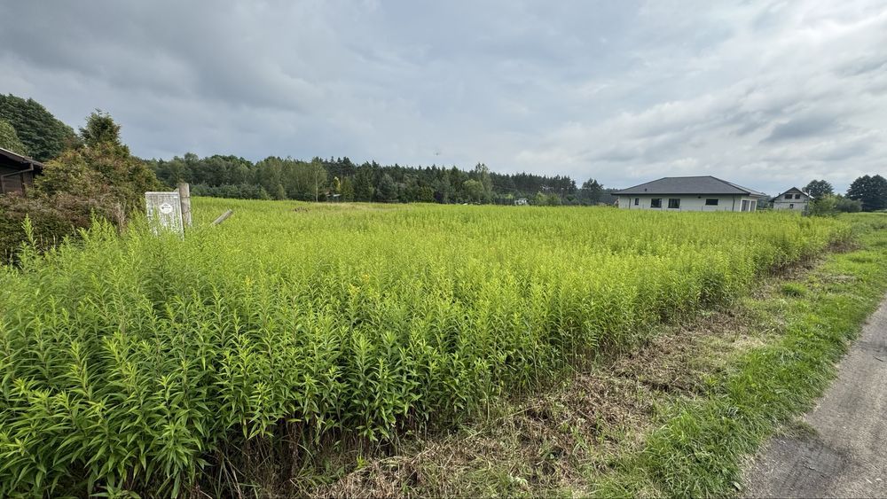 Działka budowlana Czarne Błoto, ul. Słonecznikowa. Zdjęcie 8
