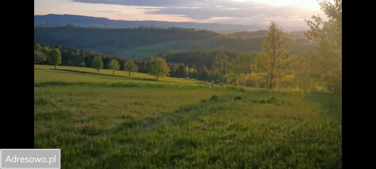 Działka budowlana Bieganów. Zdjęcie 6