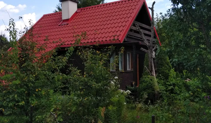 Działka rod Żabieniec, Główna