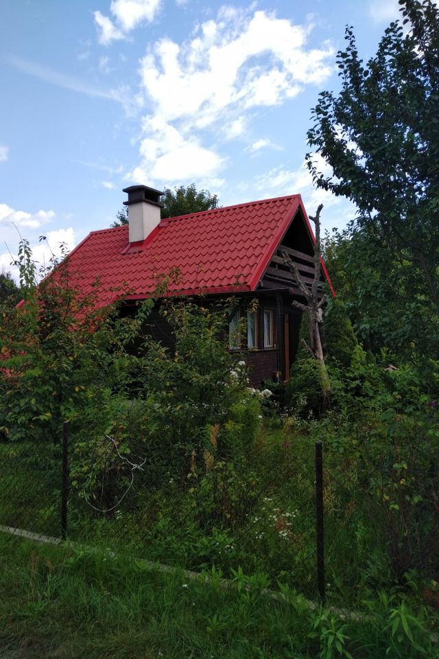 Działka rod Żabieniec, Główna. Zdjęcie 1