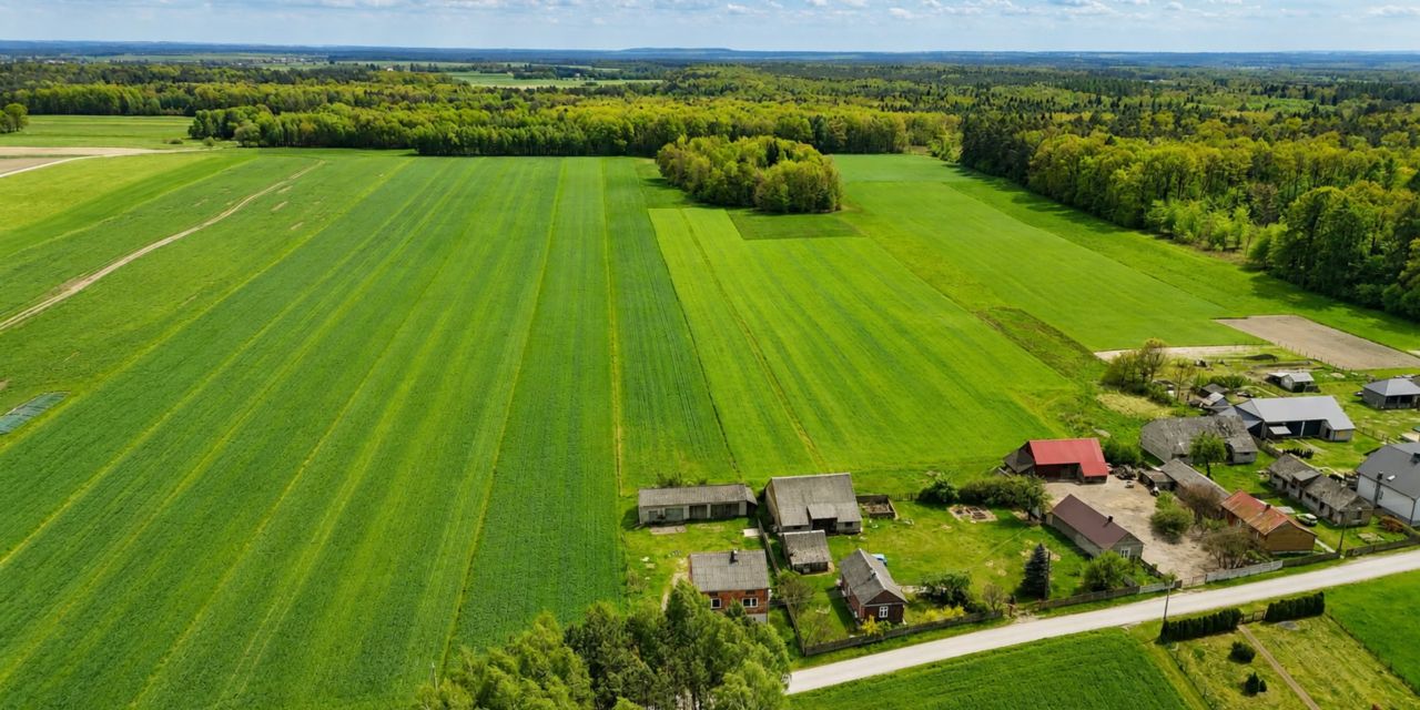 dom wolnostojący, 4 pokoje Błogoszów W Lesie. Zdjęcie 10