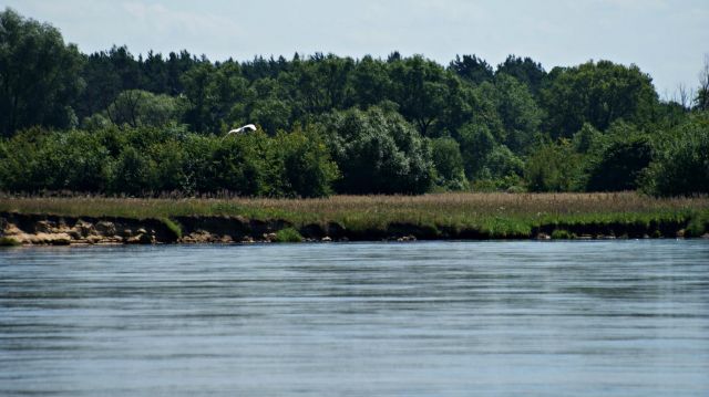 Działka budowlana Brańszczyk, ul. Wspólna. Zdjęcie 1