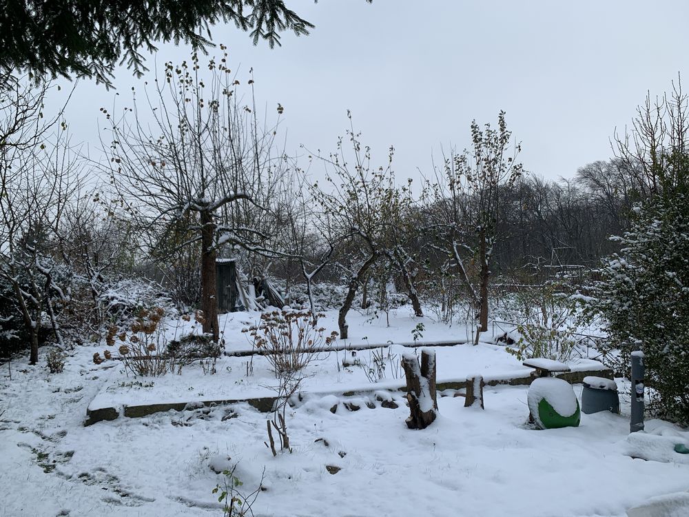 Działka rod Elbląg. Zdjęcie 6