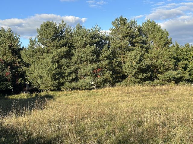 Działka budowlana Dobra, ul. Poziomkowa. Zdjęcie 10