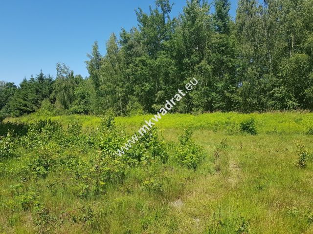 Działka budowlana Czarny Las. Zdjęcie 2