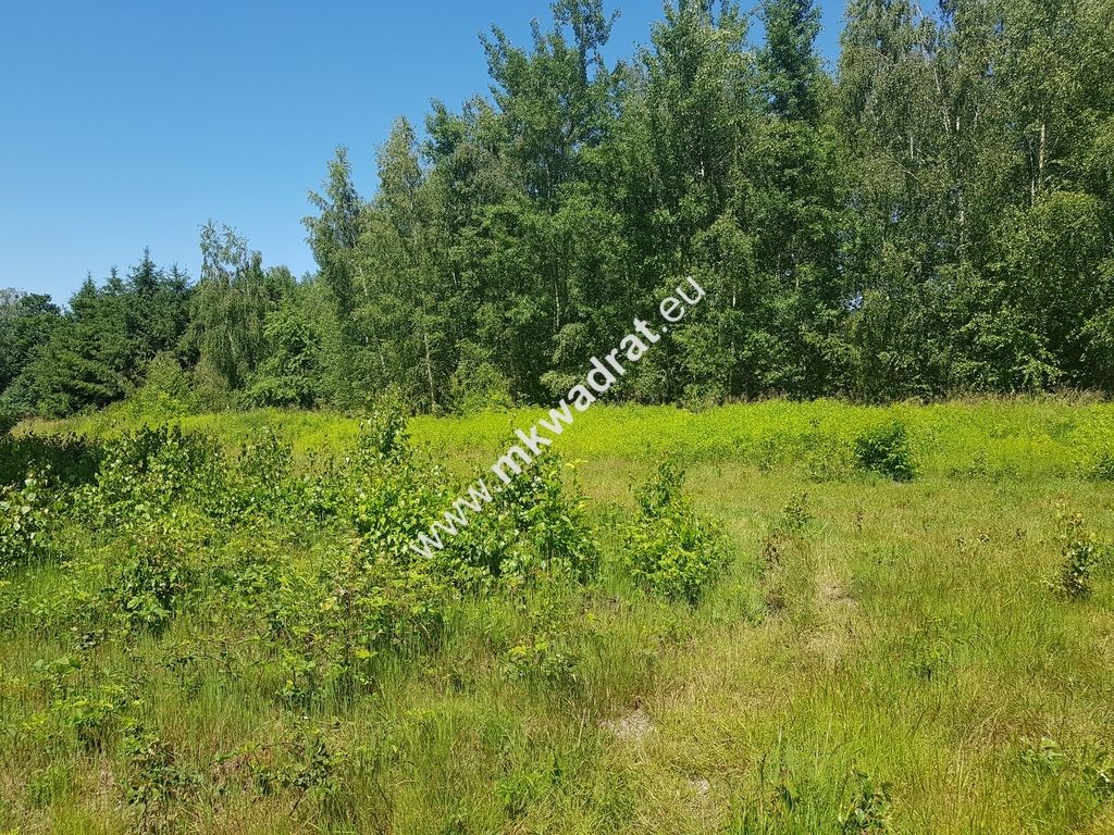 Działka budowlana Czarny Las. Zdjęcie 2