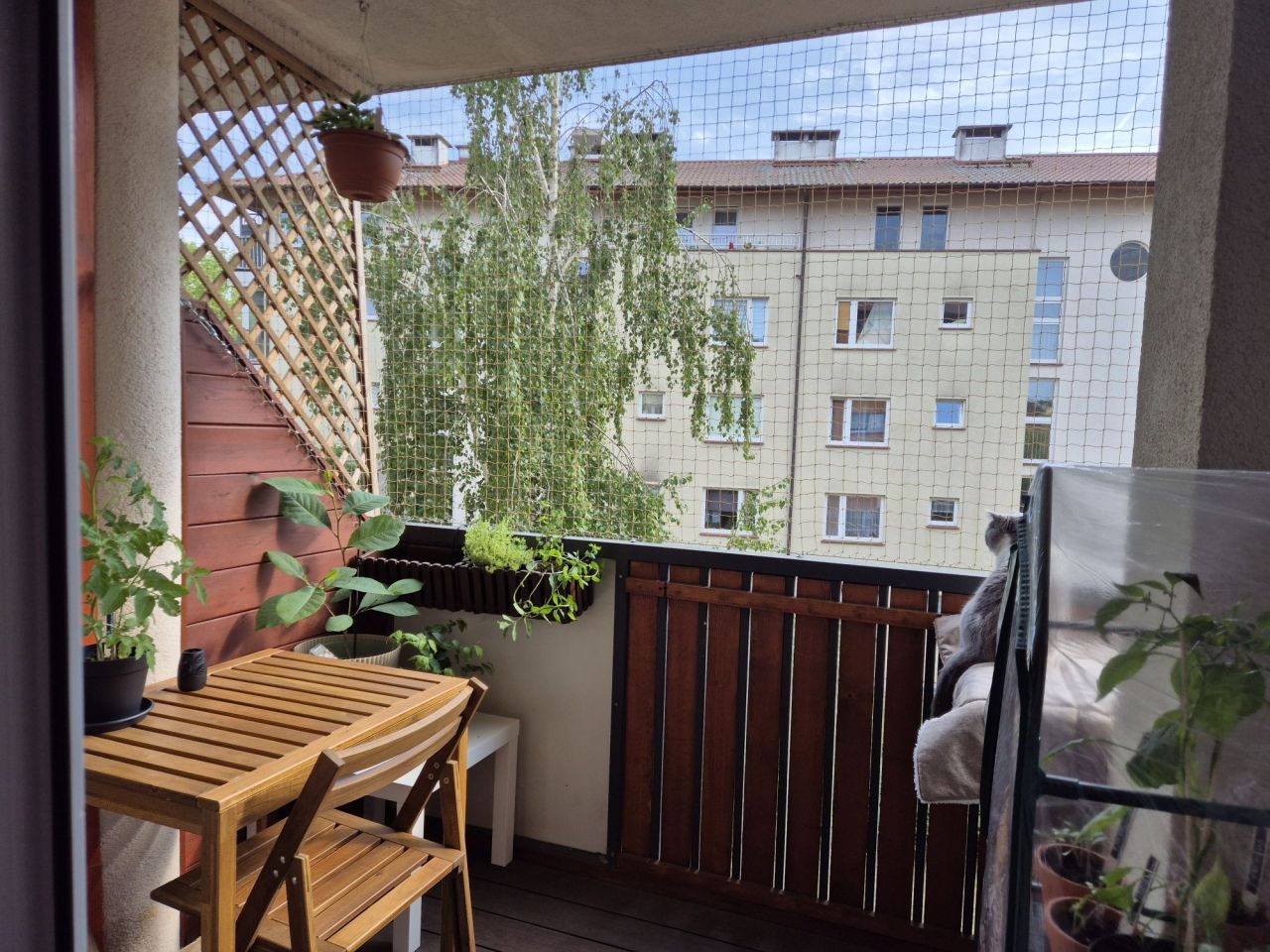 Mieszkanie 2-pokojowe Police, ul. kard. Stefana Wyszyńskiego. Zdjęcie 6