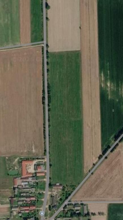 Działka rolna Czyże, Czyże. Zdjęcie 2