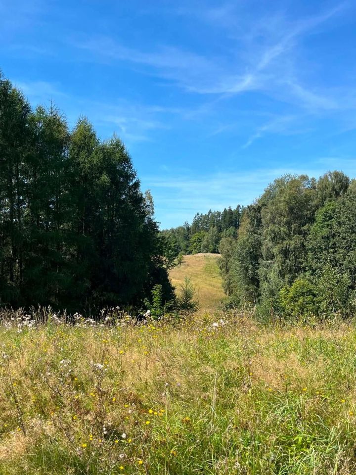 Działka budowlana Karwie. Zdjęcie 8