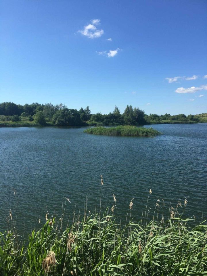 Działka inwestycyjna Grzybiny. Zdjęcie 5