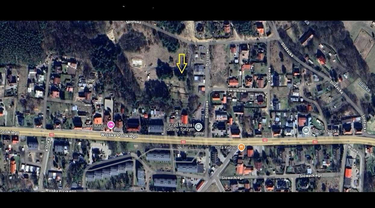 Działka budowlana Torzym. Zdjęcie 2