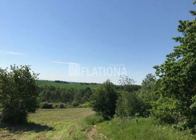 Działka rolna Wałdowo. Zdjęcie 9