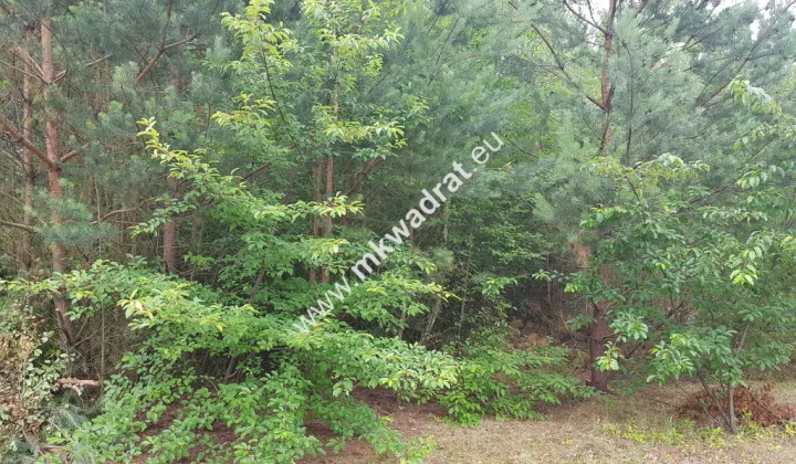 Działka budowlana Musuły