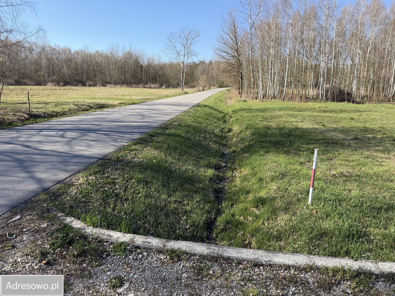 Działka budowlana Trzciana. Zdjęcie 3