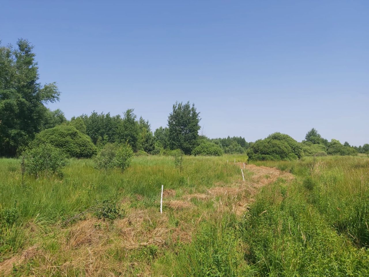 Działka inwestycyjna Broniów. Zdjęcie 10