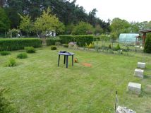 Działka rod Żary. Zdjęcie 2