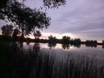 Działka rolna Dębina. Zdjęcie 2