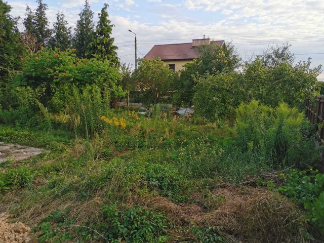 Działka rod Sępólno Krajeńskie. Zdjęcie 1