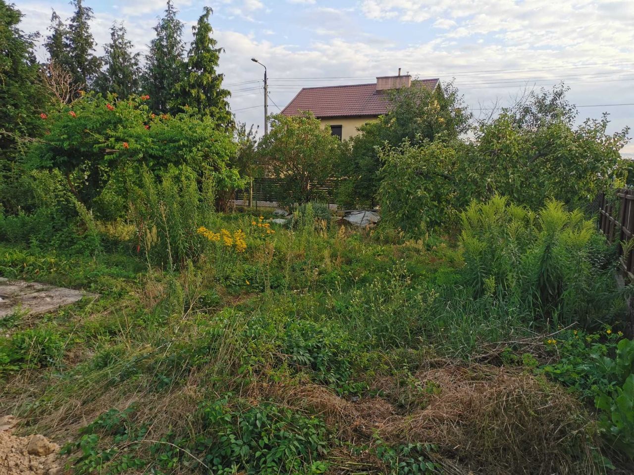 Działka rod Sępólno Krajeńskie