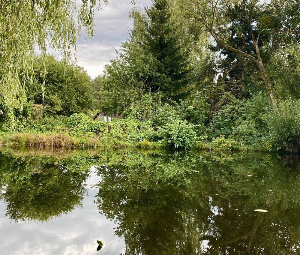 Działka rod Myki. Zdjęcie 1