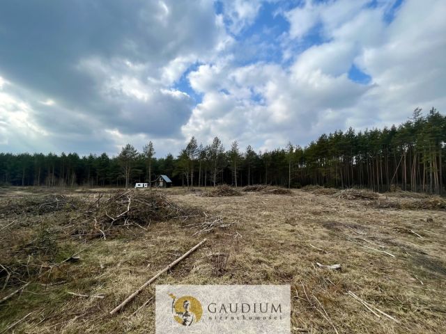 Działka Stara Kiszewa. Zdjęcie 2