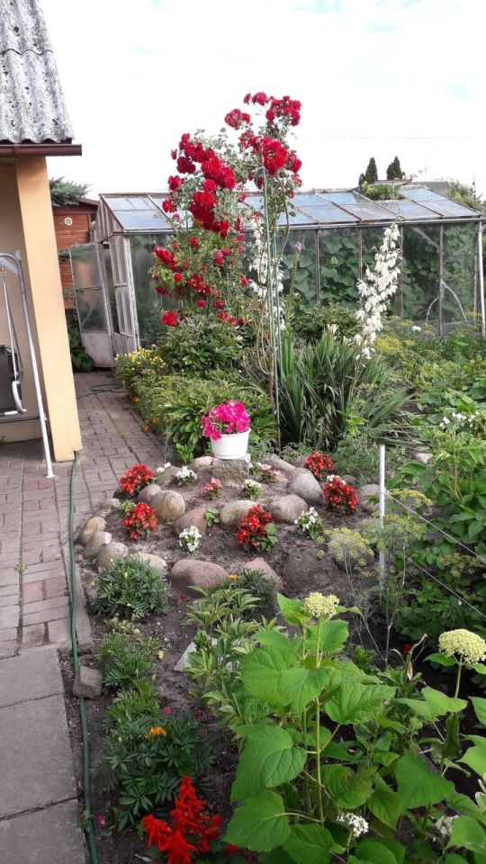 Działka rod Człuchów, ul. Koszalińska. Zdjęcie 5