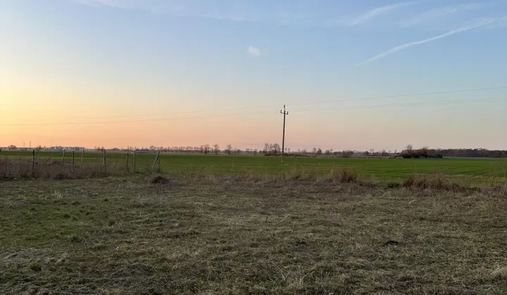 Działka budowlana Szewce, ul. Kasztanowa