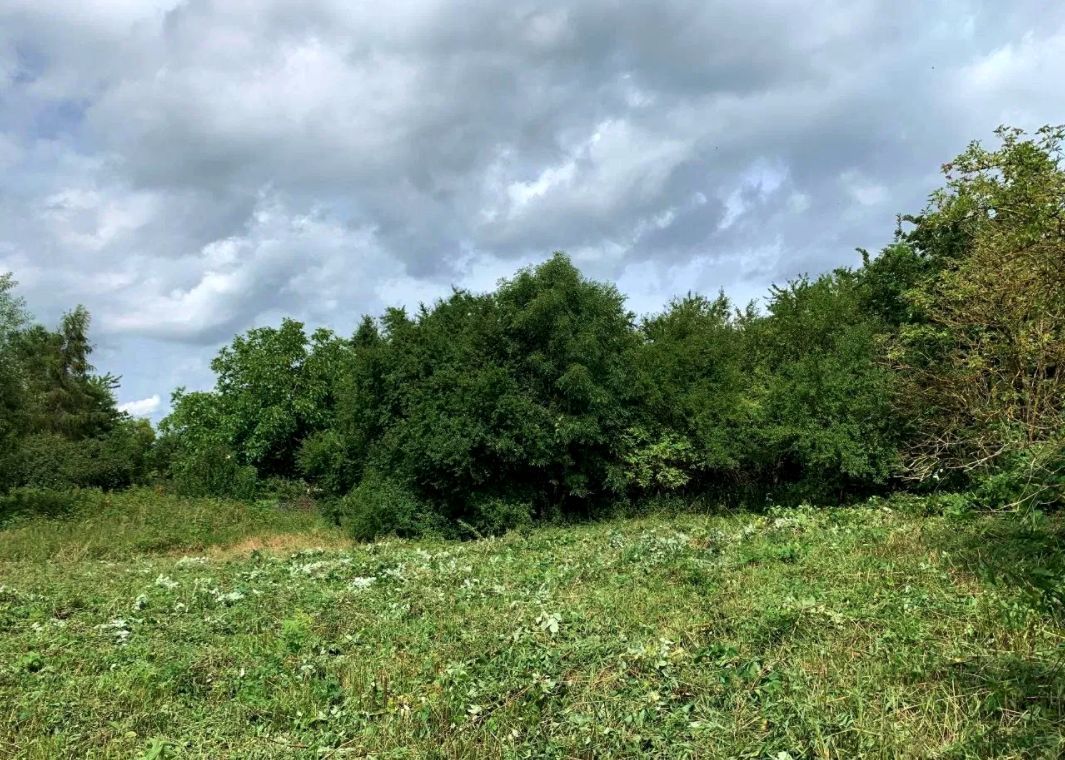 Działka budowlana Godzisław. Zdjęcie 8