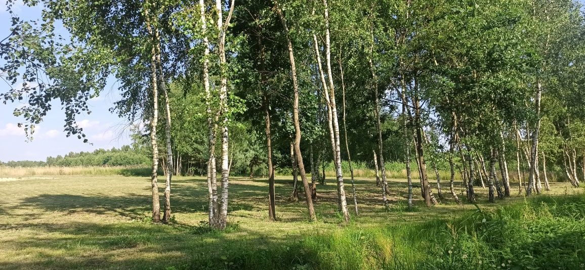 Działka budowlana Rakszawa. Zdjęcie 4