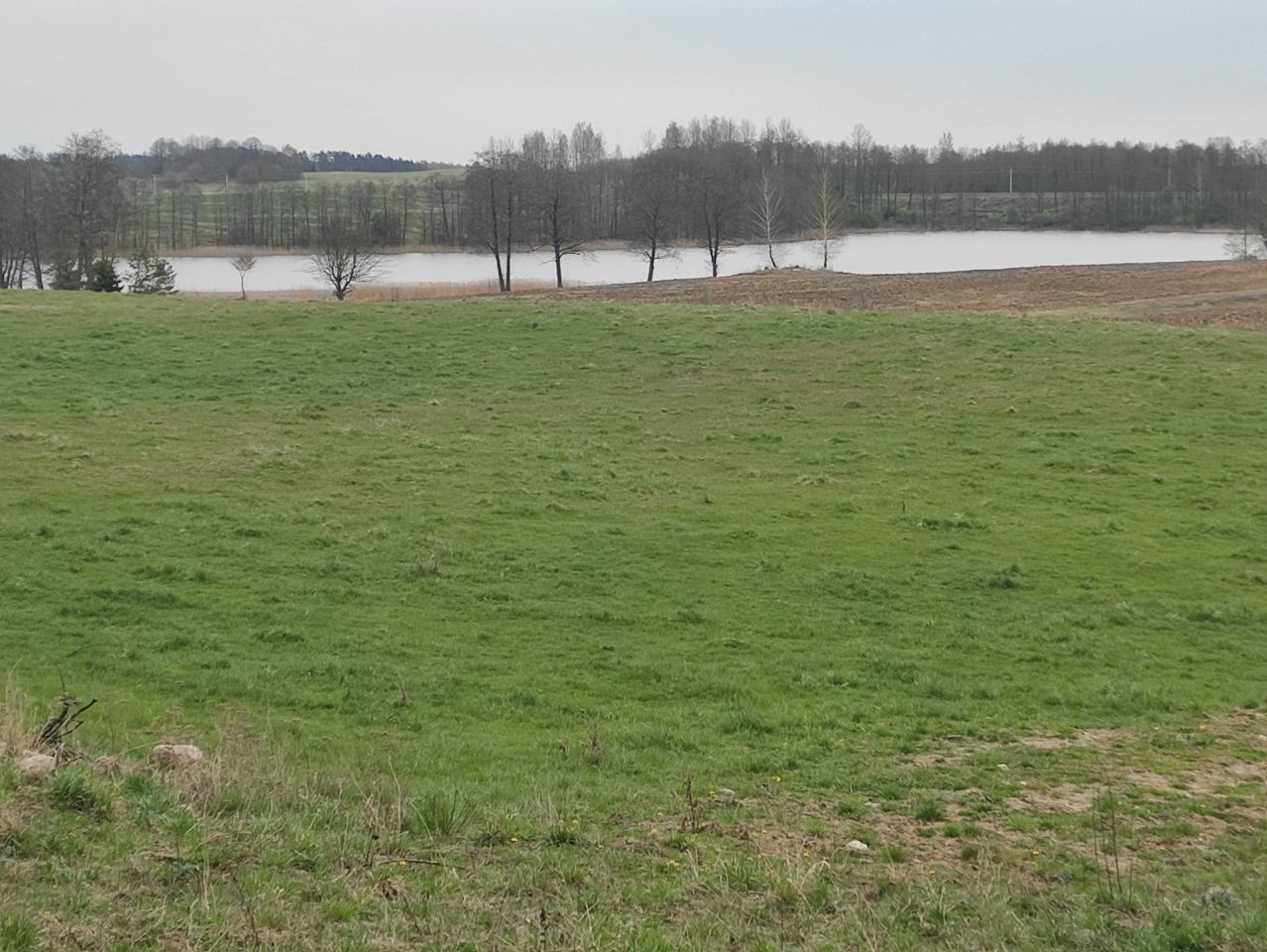 Działka budowlana Pożarki. Zdjęcie 1