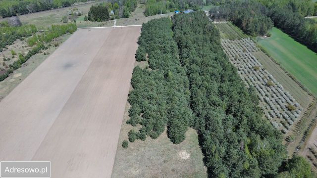 Działka inwestycyjna Dwórzno. Zdjęcie 1
