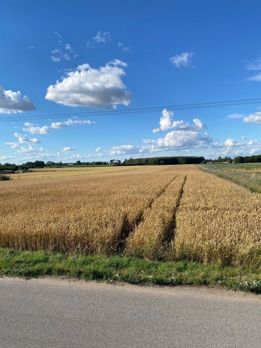 Działka rolna Łysomice, ul. Długa. Zdjęcie 1