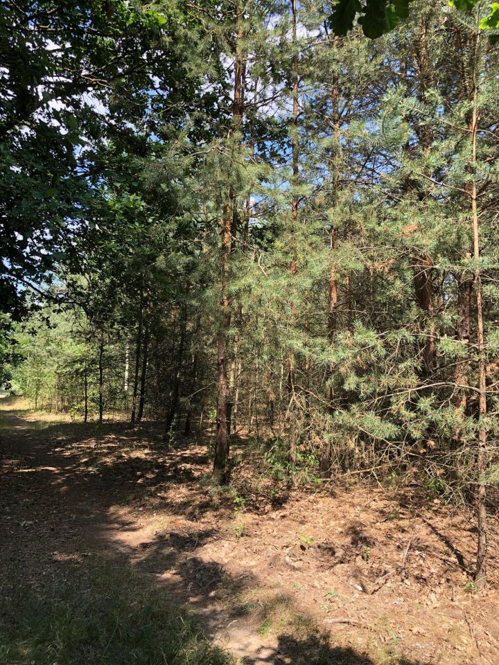 Działka inwestycyjna Nieporęt, ul. Stokrotki. Zdjęcie 13