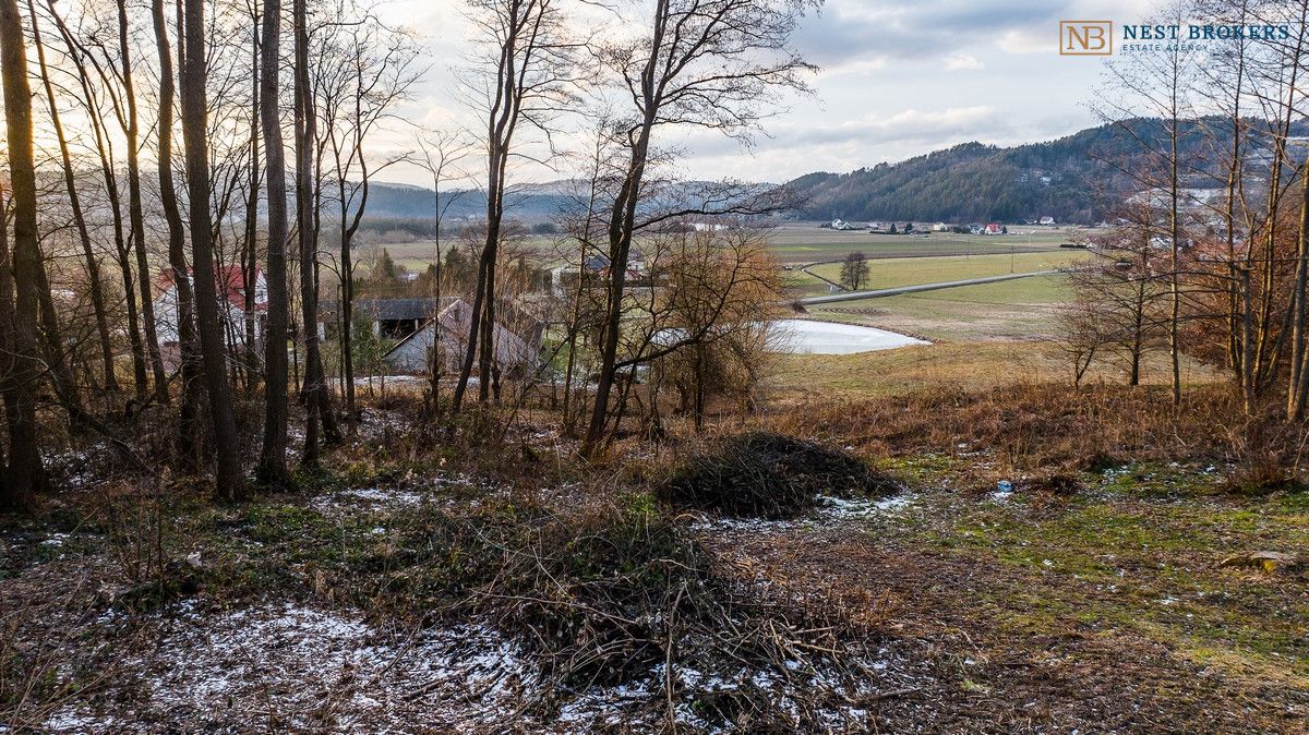 Działka budowlana Roztoka-Brzeziny. Zdjęcie 15