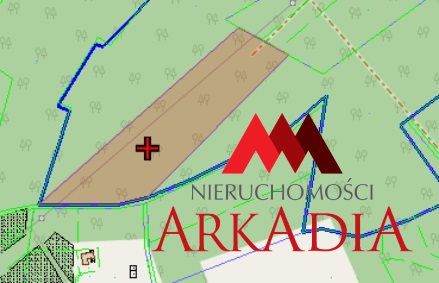 Działka leśna Bobrownickie Pole. Zdjęcie 7