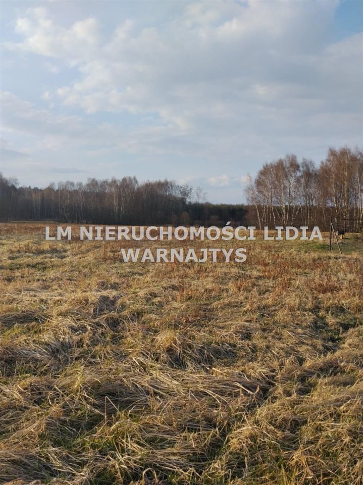 dom wolnostojący, 6 pokoi Książenice. Zdjęcie 6