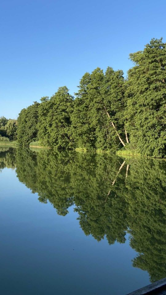Działka budowlana Skarpa. Zdjęcie 8